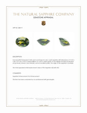 3.08 Ct. Bi Color / Parti Sapphire from Australia Appraisal