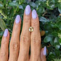 2.74 Ct. Yellow Sapphire from Ceylon (Sri Lanka) Life Style