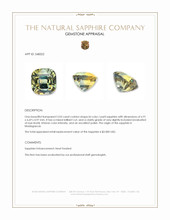 2.03 Ct. Bi Color / Parti Sapphire from Madagascar Appraisal