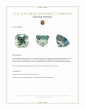 1.07 Ct. Bluish Green Sapphire from Madagascar Appraisal