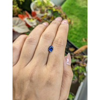 1.31 Ct. Blue Sapphire from Ceylon (Sri Lanka) Life Style