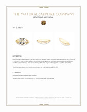 1.20 Ct. Yellow Sapphire from Ceylon (Sri Lanka) Appraisal