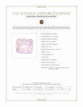 Jewelry Scan Report