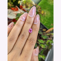 1.26 Ct. Pink Sapphire from Ceylon (Sri Lanka) Life Style