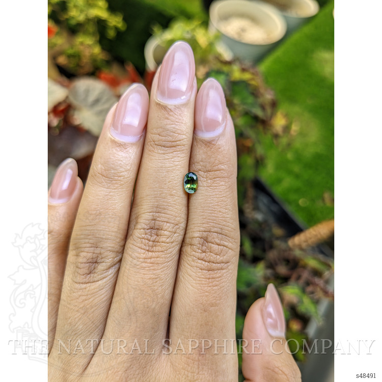 0.65 Ct. Bi Color / Parti Sapphire from Madagascar