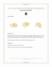9.37 Ct. Yellow Sapphire from Ceylon (Sri Lanka) Appraisal
