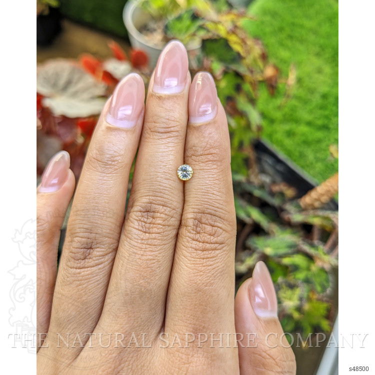 0.49 Ct. Bi Color / Parti Sapphire from Ceylon (Sri Lanka)