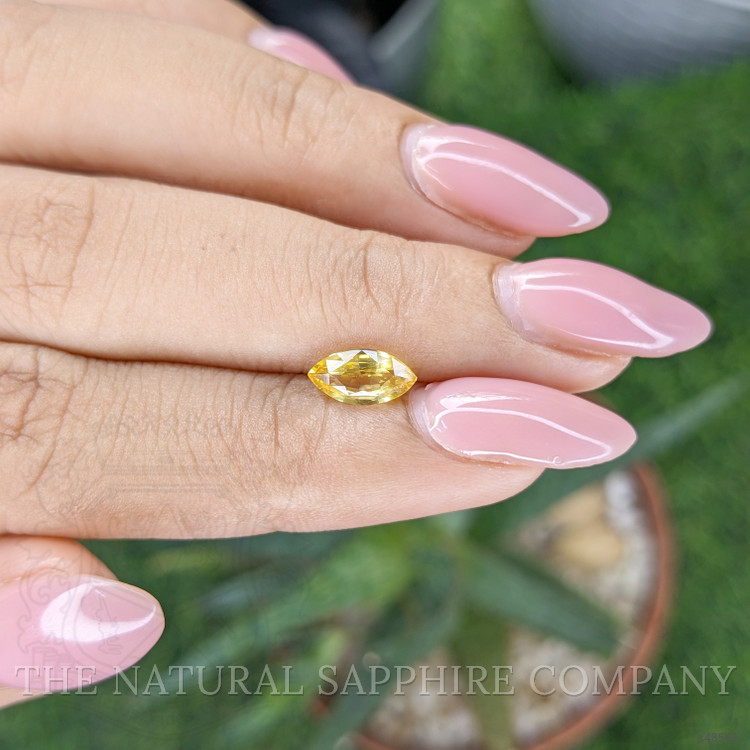 1.02 Ct. Yellow Sapphire from Ceylon (Sri Lanka)