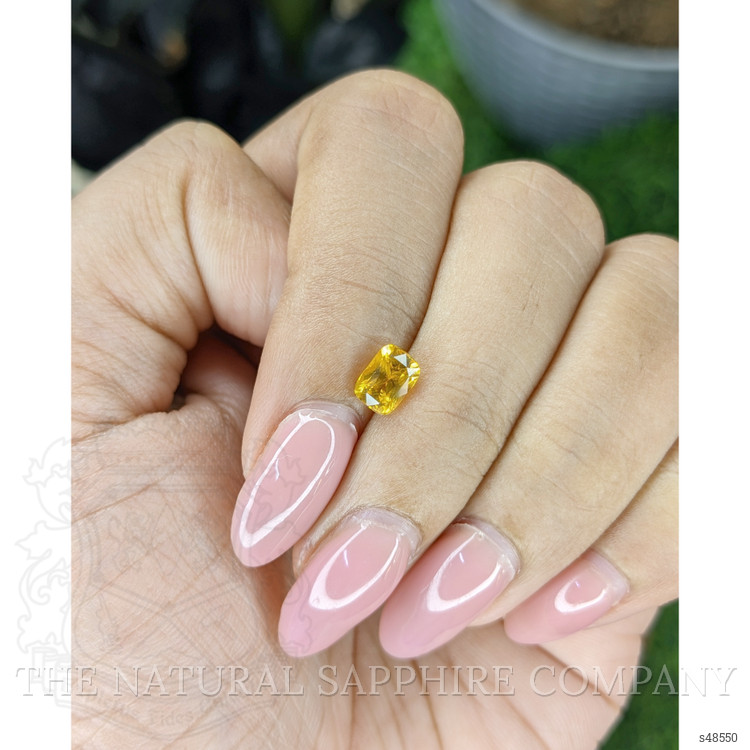 1.01 Ct. Yellow Sapphire from Ceylon (Sri Lanka)