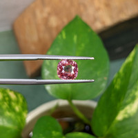 2.54 Ct. Padparadscha Sapphire from Madagascar Life Style