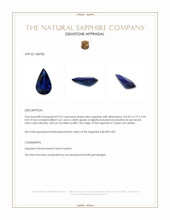 0.93 Ct. Blue Sapphire from Ceylon (Sri Lanka) Appraisal