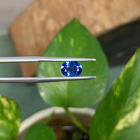 1.13 Ct. Blue Sapphire from Ceylon (Sri Lanka) Life Style