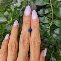1.35 Ct. Blue Sapphire from Ceylon (Sri Lanka) Life Style