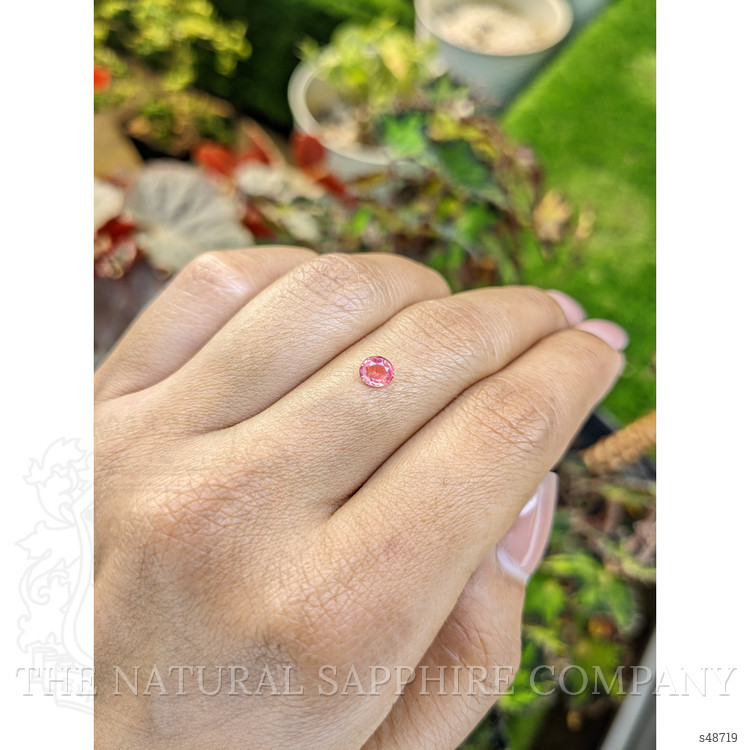 0.39 Ct. Peach Sapphire from Ceylon (Sri Lanka)