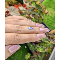 1.16 Ct. Blue Cabochon Sapphire from Ceylon (Sri Lanka) Life Style
