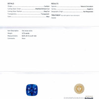 3.73 Ct. Blue Sapphire from Ceylon (Sri Lanka) Scan Report