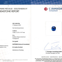 14.98 Ct. Blue Sapphire from Ceylon (Sri Lanka) Scan Report