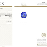 14.98 Ct. Blue Sapphire from Ceylon (Sri Lanka) Scan Report