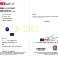 9.73 Ct. Blue Sapphire from Ceylon (Sri Lanka) Scan Report