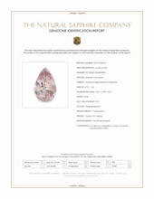 Jewelry Scan Report