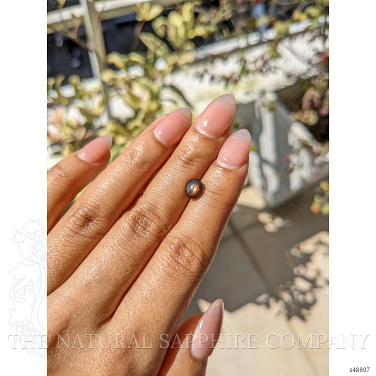 1.57 Ct. Black Cabochon Star Sapphire from Ceylon (Sri Lanka)