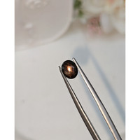 1.57 Ct. Black Cabochon Star Sapphire from Ceylon (Sri Lanka) Life Style