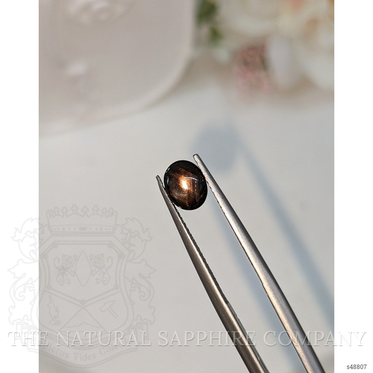 1.57 Ct. Black Cabochon Star Sapphire from Ceylon (Sri Lanka)