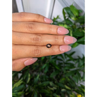 1.57 Ct. Black Cabochon Star Sapphire from Ceylon (Sri Lanka) Life Style