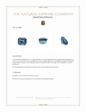 Jewelry Appraisal