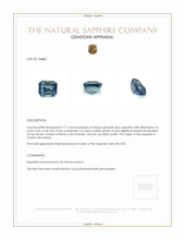 Jewelry Appraisal