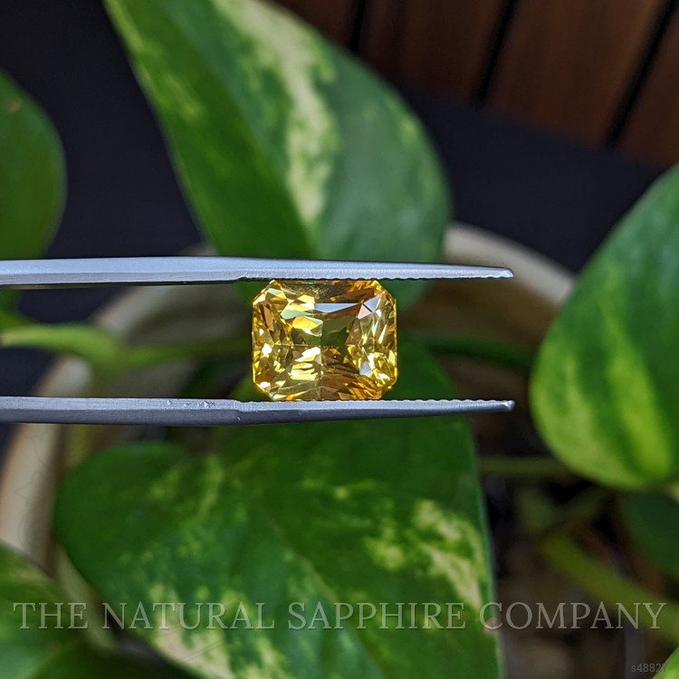 5.14 Ct. Yellow Sapphire from Ceylon (Sri Lanka)