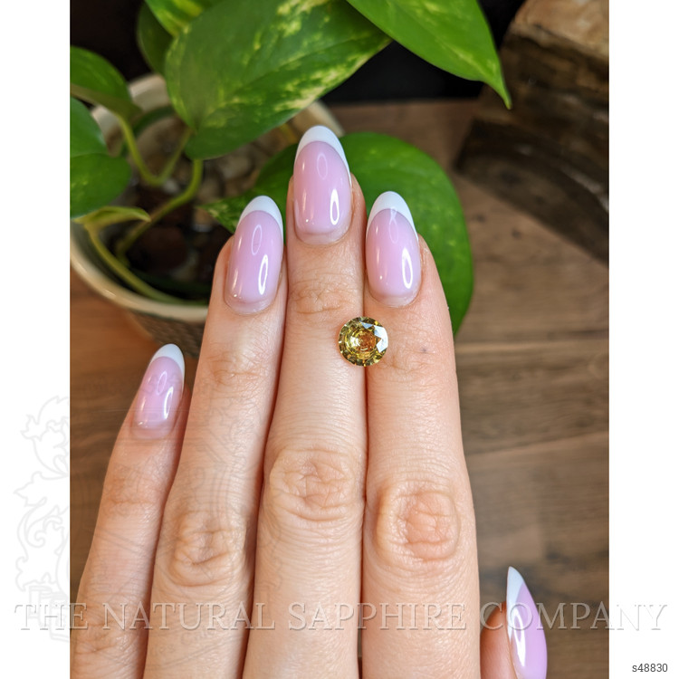 2.38 Ct. Yellow Sapphire from Ceylon (Sri Lanka)