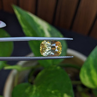 4.04 Ct. Yellow Sapphire from Ceylon (Sri Lanka) Life Style