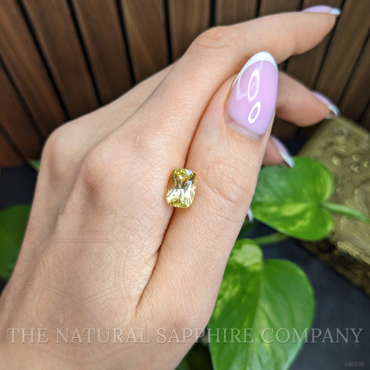 4.04 Ct. Yellow Sapphire from Ceylon (Sri Lanka)