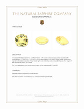 7.29 Ct. Yellow Sapphire from Ceylon (Sri Lanka) Appraisal