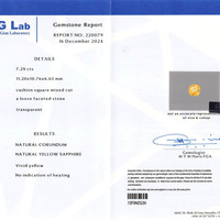7.29 Ct. Yellow Sapphire from Ceylon (Sri Lanka) Scan Report