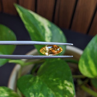 1.58 Ct. Yellow Sapphire from Ceylon (Sri Lanka) Life Style