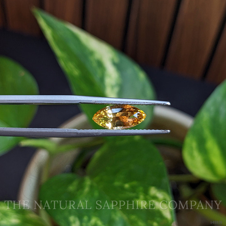 1.58 Ct. Yellow Sapphire from Ceylon (Sri Lanka)