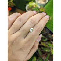 1.32 Ct. Greenish Yellow Sapphire from Ceylon (Sri Lanka) Life Style