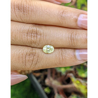 1.32 Ct. Greenish Yellow Sapphire from Ceylon (Sri Lanka) Life Style