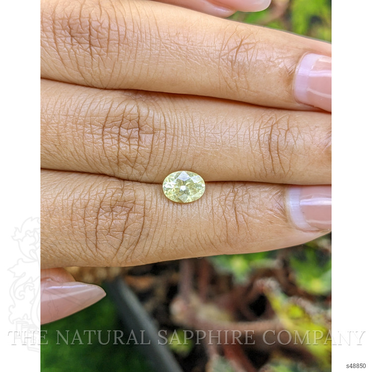 1.32 Ct. Greenish Yellow Sapphire from Ceylon (Sri Lanka)