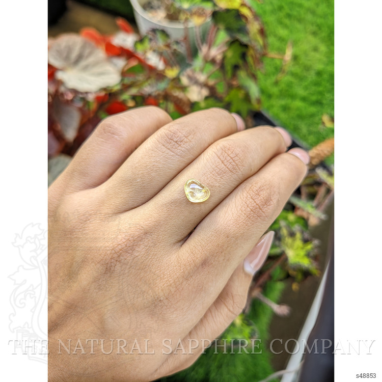 1.79 Ct. Yellow Cabochon Sapphire from Ceylon (Sri Lanka)