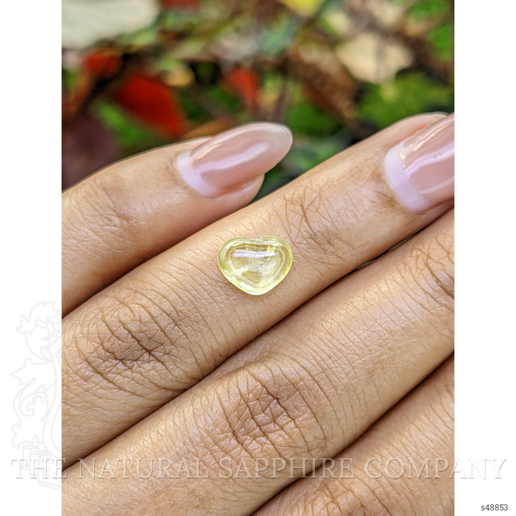 1.79 Ct. Yellow Cabochon Sapphire from Ceylon (Sri Lanka)