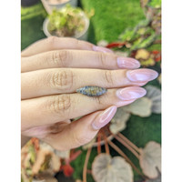 4.65 Ct. Blue Sapphire from Ceylon (Sri Lanka) Life Style