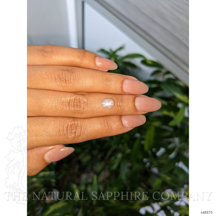2.67 Ct. Grey Cabochon Star Sapphire from Ceylon (Sri Lanka)