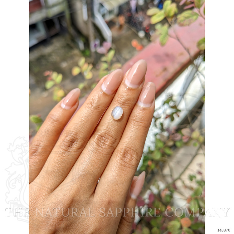 2.67 Ct. Grey Cabochon Star Sapphire from Ceylon (Sri Lanka)