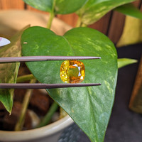 4.02 Ct. Orangish Yellow Sapphire from Ceylon (Sri Lanka) Life Style