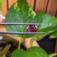 4.02 Ct. Purplish Pink Sapphire from Ceylon (Sri Lanka) Life Style