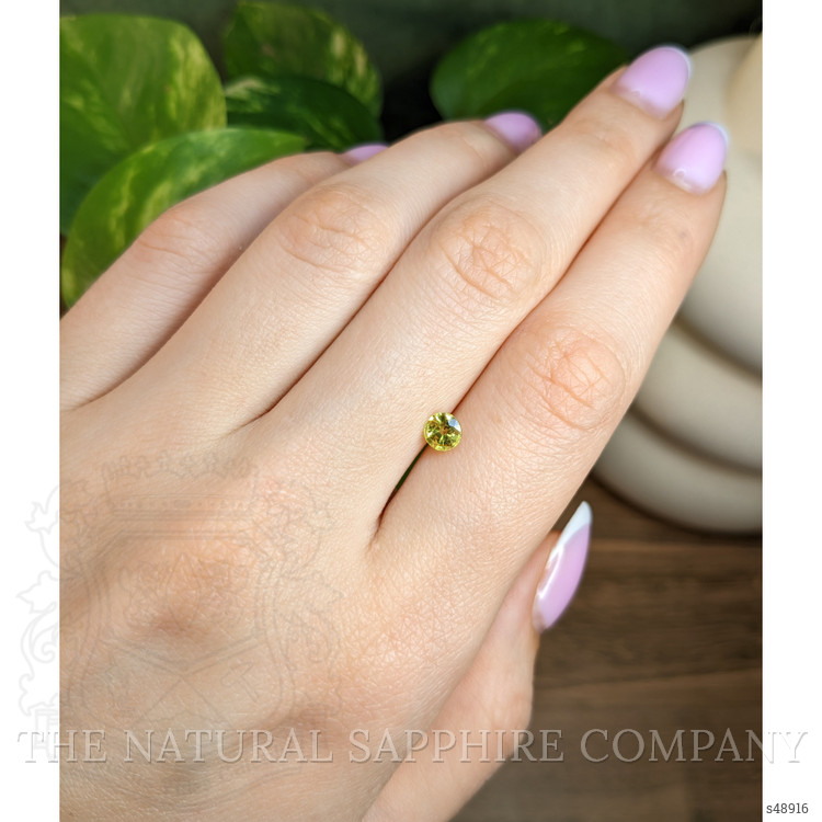 0.59 Ct. Greenish Yellow Sapphire from Ceylon (Sri Lanka)