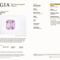 3.38 Ct. Pink Sapphire from Madagascar Pdf